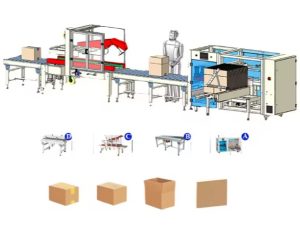 LINEBOX-03 Box Packaging Line